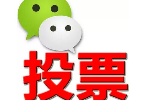 红河哈尼族彝族自治州微信投票功能开发 上传图片投票